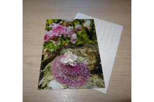 Postkarte 01/2019