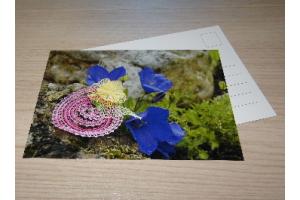 Postkarte 04/2019