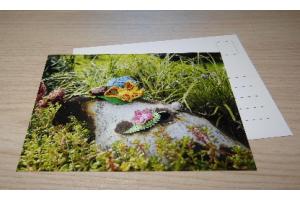 Postkarte 07/2019