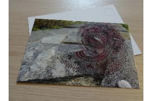 Postkarte 09/2019