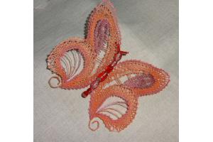 Schmetterlingskrper gro